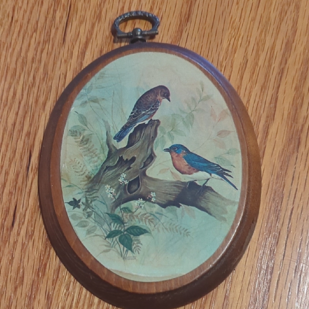 Bird Decor Picture Accent Set Including James Gordon Irving Prints Vintage